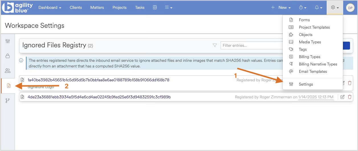 Workspace settings showing ignored files registry with registered entries and options.